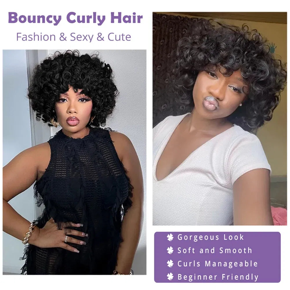 Hair Color: LYD1B/99J, Ships From: CHINA, Stretched Length: 14inches, Density: 150% - Afro Rose Curly Funmi Wigs with Bang Short Bouncy Curly Bob Wig With Bangs Machine Made Rose Curl Human Hair Wig For Black Women Taven