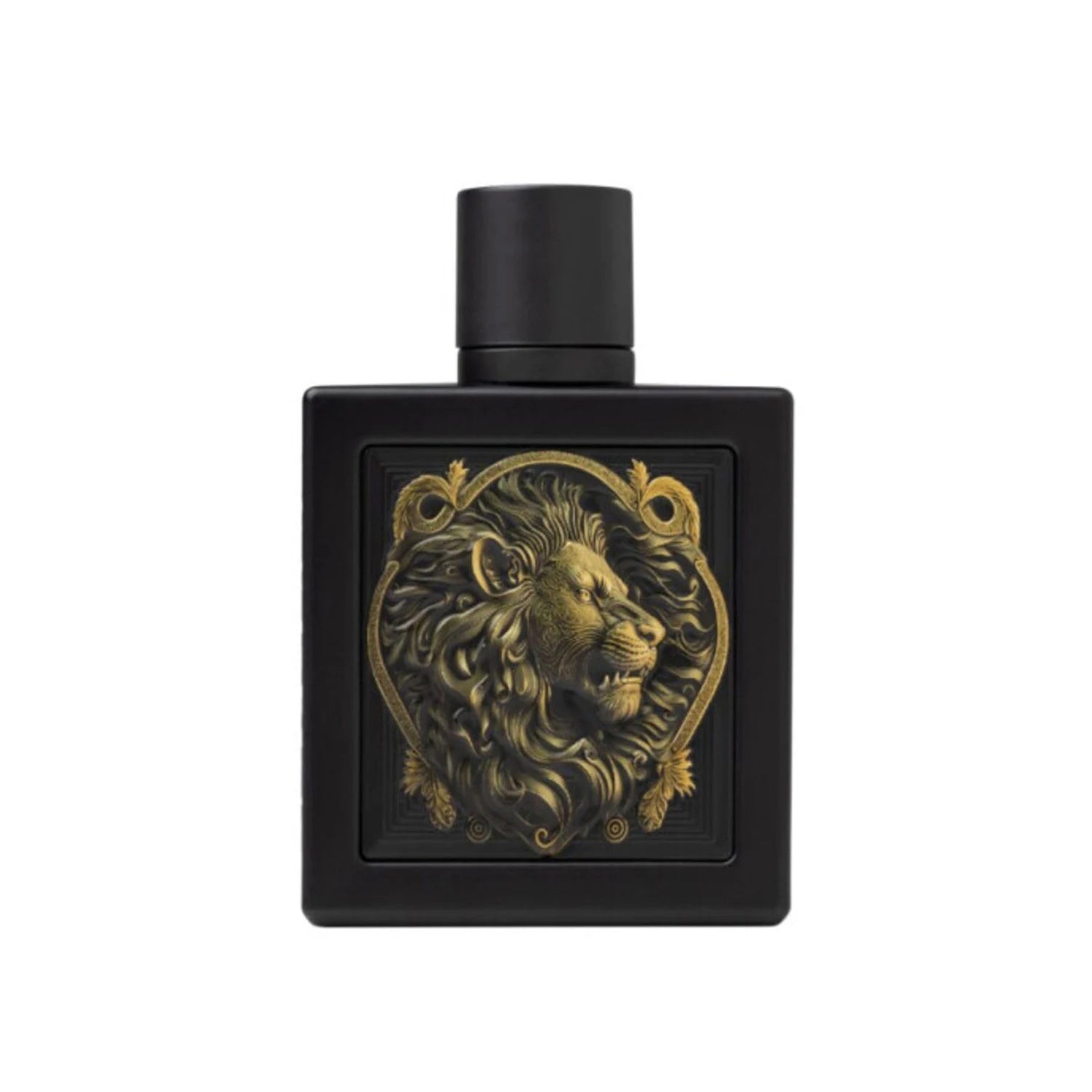 Rayhaan EDP Perfume Collection Men's Unisex Luxury Scent TAVEN System LLC