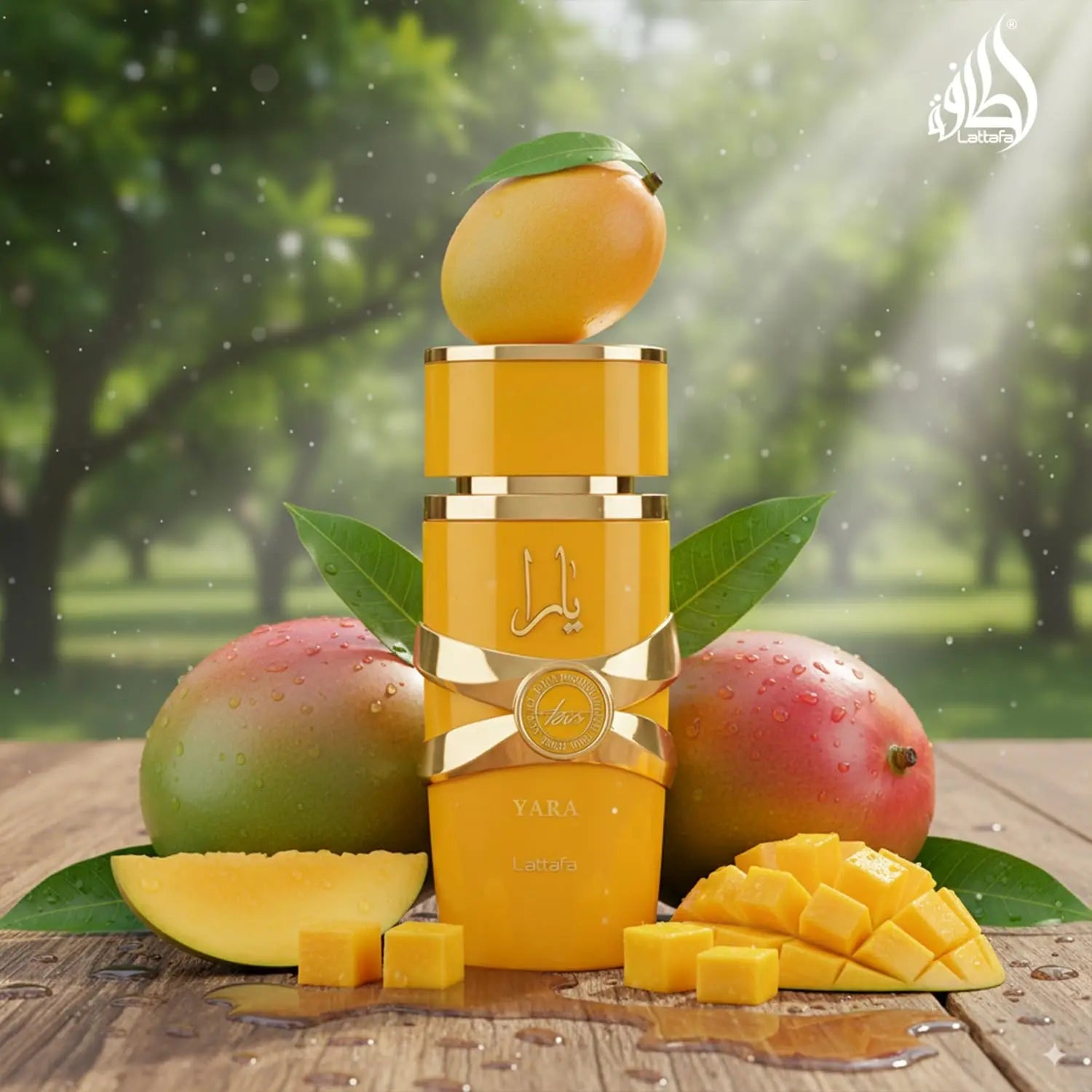 Woody Amber EDP Bourbon Vanilla Long Lasting Perfume TAVEN System LLC