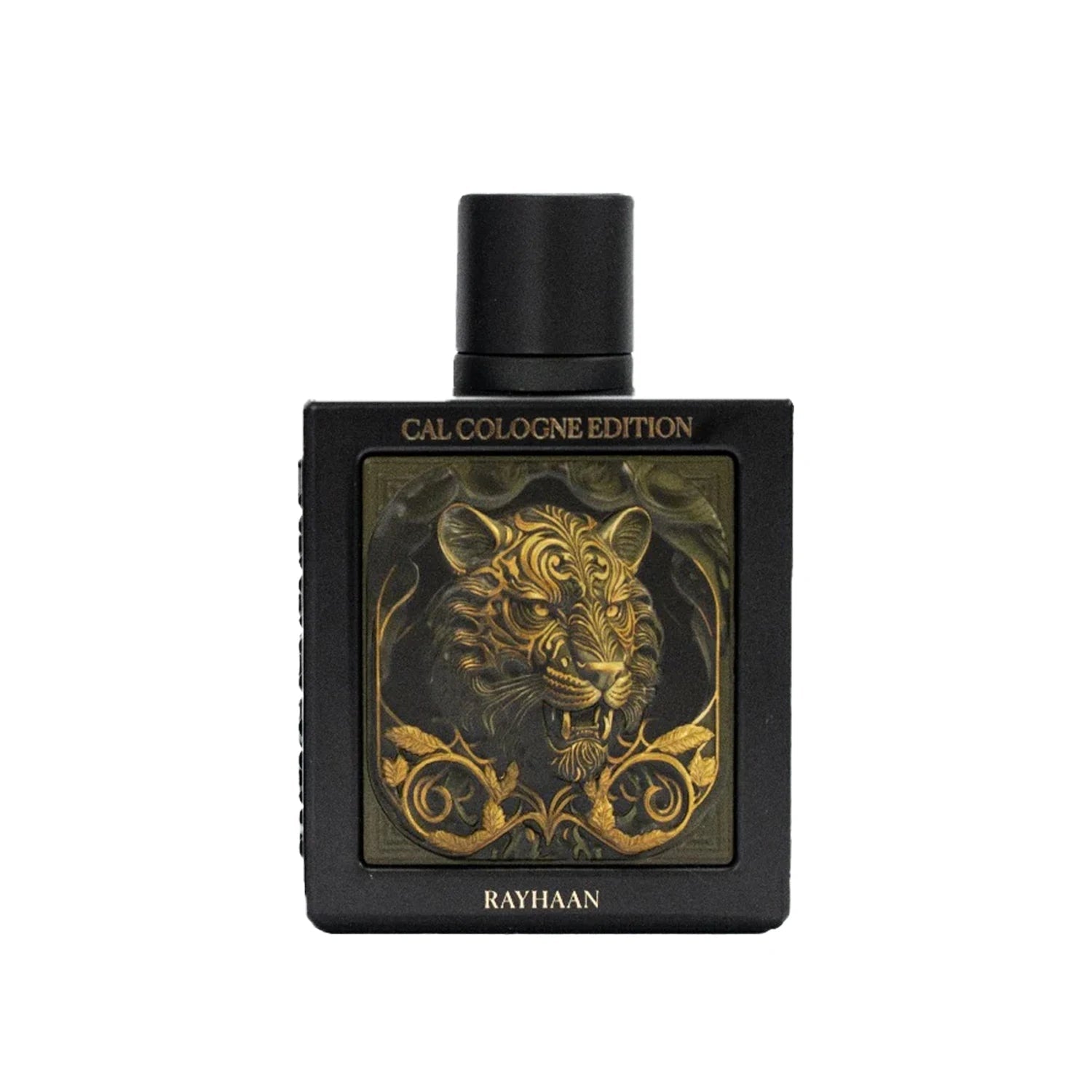Rayhaan EDP Perfume Collection Men's Unisex Luxury Scent TAVEN System LLC