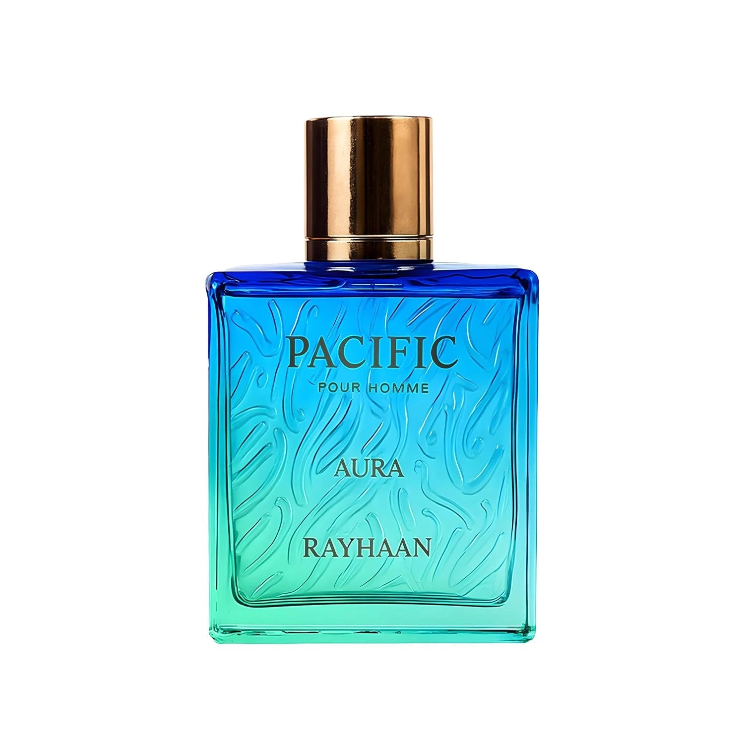 Rayhaan EDP Perfume Collection Men's Unisex Luxury Scent TAVEN System LLC