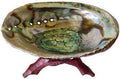 5"- 6" Abalone Shell incense burner with stand Taven