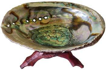 5"- 6" Abalone Shell incense burner with stand Taven