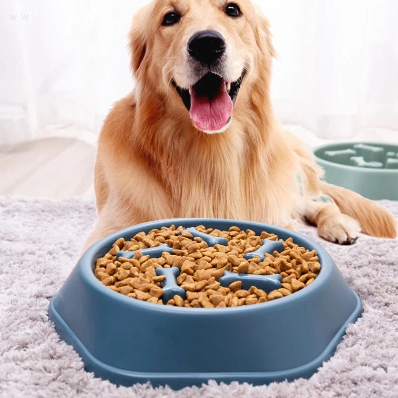 Pet Slow Food Bowl Anti-choking Feeder PP Plastic Dish Bowl Home Dog Eating Plate Anti-gulping Feeding Supplies TAVEN System LLC