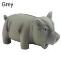 1PC Rubber Sound Pig Grunting Squeak Latex Pet Chew Toys for Dog Squeaker Chew Training Puppy Supplies Pet Products TAVEN System LLC