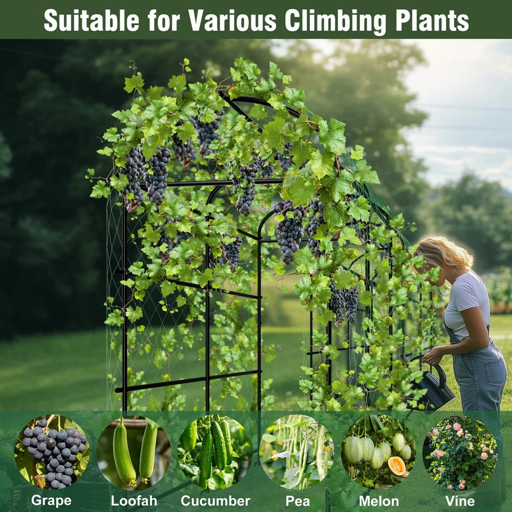 U shaped metal garden trellis with netting for climbing plants