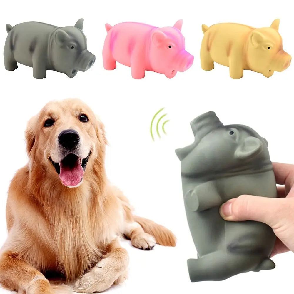 1PC Rubber Sound Pig Grunting Squeak Latex Pet Chew Toys for Dog Squeaker Chew Training Puppy Supplies Pet Products TAVEN System LLC