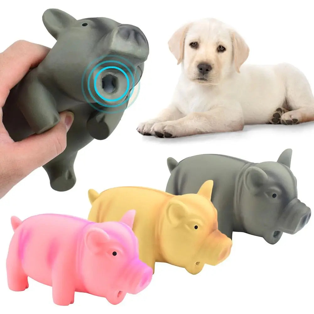 1PC Rubber Sound Pig Grunting Squeak Latex Pet Chew Toys for Dog Squeaker Chew Training Puppy Supplies Pet Products TAVEN System LLC