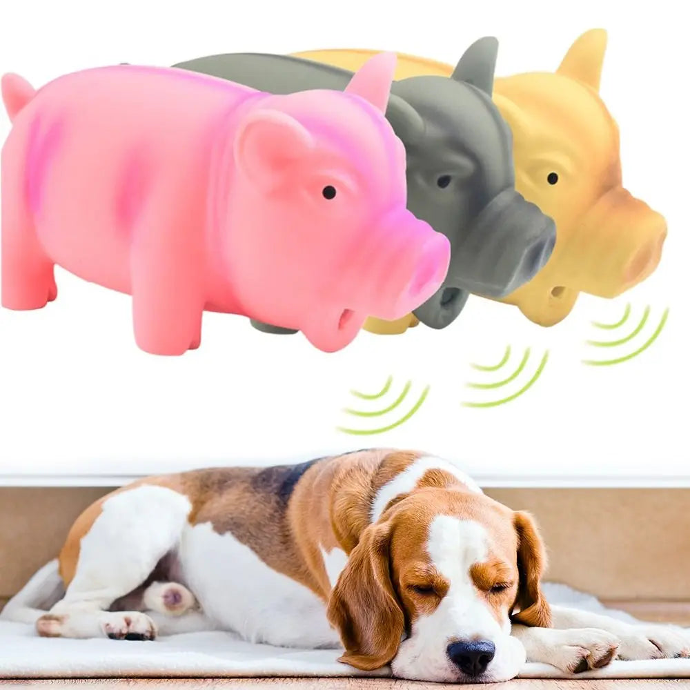 1PC Rubber Sound Pig Grunting Squeak Latex Pet Chew Toys for Dog Squeaker Chew Training Puppy Supplies Pet Products TAVEN System LLC