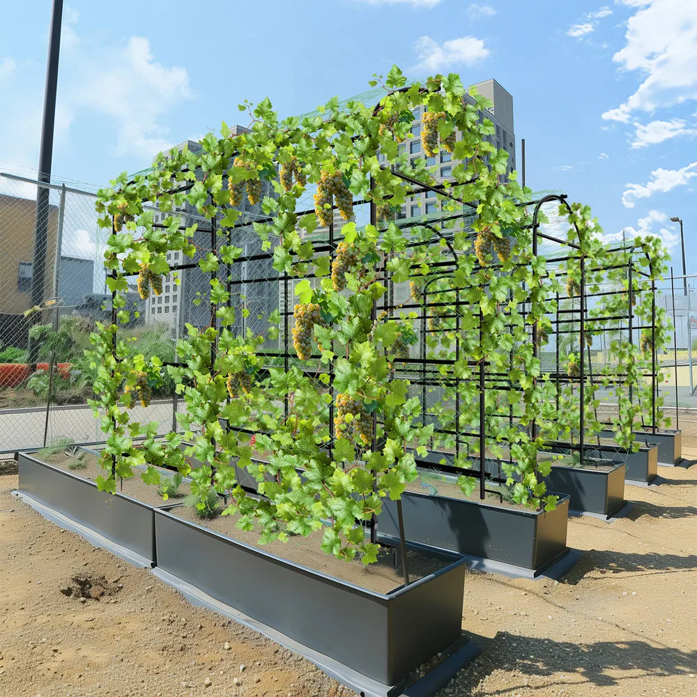 U shaped metal garden trellis with netting for climbing plants