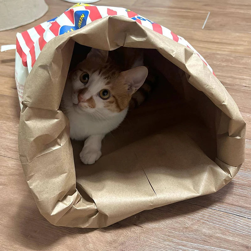 Creative Cute Hidden Food Pet Cat and Dog Kraft Paper Popcorn Paper Bag Puzzle Decompression Sound chew Dog Toy TAVEN System LLC